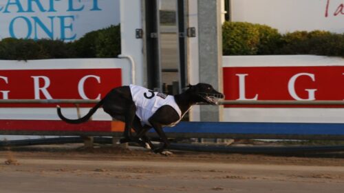 Hill-Top-Jack-Launceston-3-1024x762-1-50