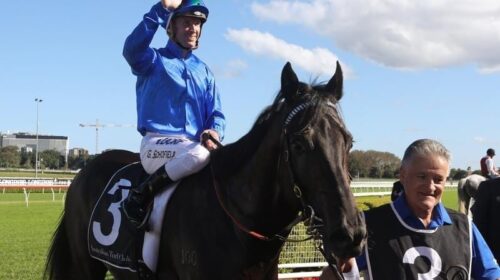 Memsie_Kementari_4-3_14698069_1888428_20