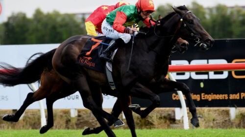 PAREANUI-BAY-G2-Sarten-Memorial-Te-Rapa-