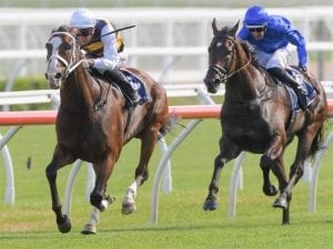 Tom Melbourne breaks losing streak