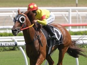 Mercurial passes distance test at Randwick