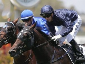 Siege Of Quebec ambles to Rosehill victory