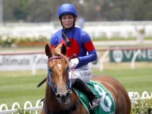 Sizzling Belle upstages colts at Rosehill