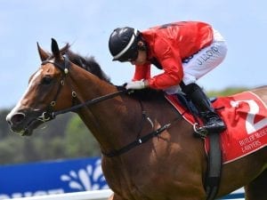 Outraged atones for luckless Magic Millions run at Sunshine Coast