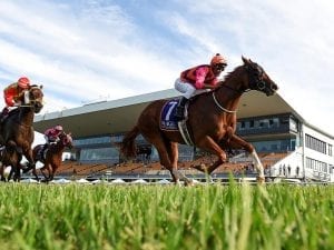 Desleigh Forster banks on Larry Cassidy experience in Cup with Someday
