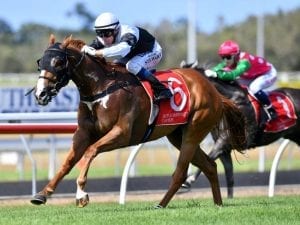 Sista Act claims rich bonus at Caloundra for Liam Birchley