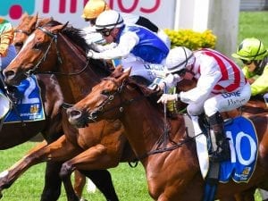 Luke Dittman to ride cold on Trubia in Sunshine Coast Cup