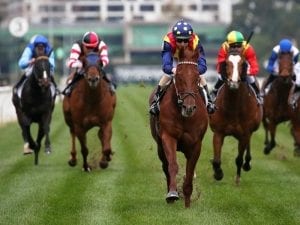 Villa Sarchi set for first-up Sandown tilt