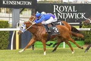 Tough Larry at Randwick-Kensington