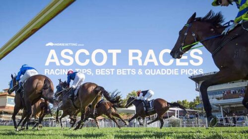 ascot-feat-2-500x280.jpg