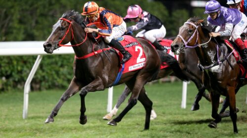 1_20211117_HV_R9_50V9585p-scaled-1-500x2