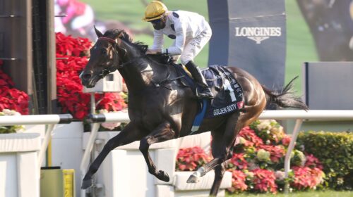 1_20211212-ST-R7-50V2503p-scaled-1-500x2