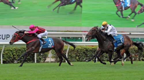 1_20220123-ST-R7-A90I8501J-scaled-1-500x