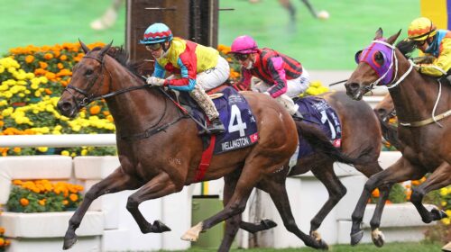 1_20220220-ST-R3-37579r-scaled-1-500x280