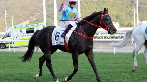 20210221-ST-R9-6-Horse-shot-187A1562a-sc