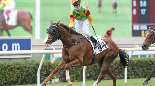 20210405_STRC_R3_50V5804p-scaled-1-500x2