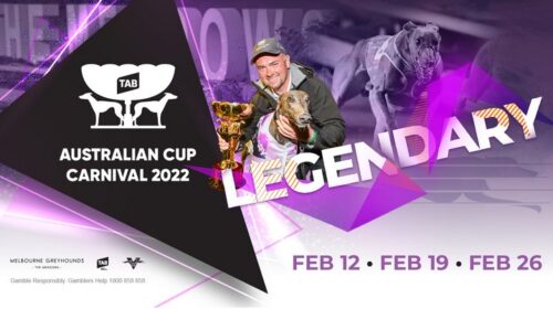 2022-TAB-Australian-Cup-Banner-4-5-500x2