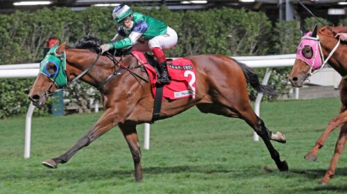 20220223-HV-R8-A90I9461sk-scaled-1-500x2