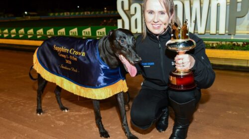 Black-Opium-Sapphire-1024x683-1-500x280.