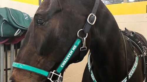 Christen-Me-blog-image-USA-v2__ResizedIm