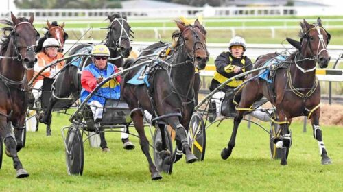 David-Butcher-action-blog-image-v2__Resi