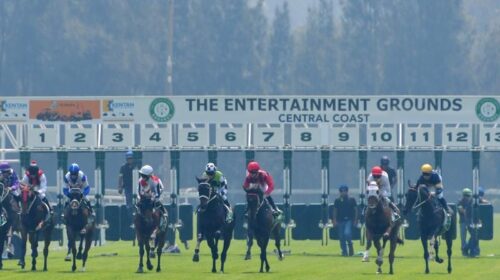 Gallops_Gosford_4-3_18166372_1995775_202