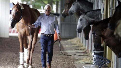 Gallops_Justify_4-3_17121433_1967239_201