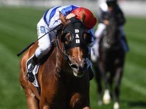 Redkirk Warrior shares Newmarket topweight