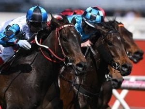 Fundamentalist to run in Surround Stakes