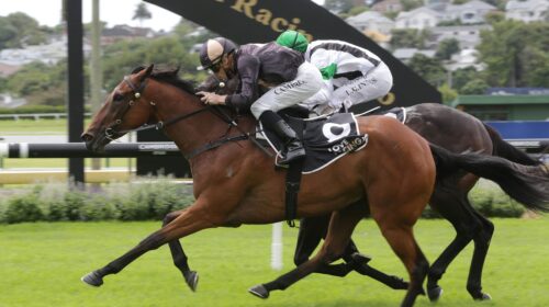 Lickety-Split-a-6066-scaled-1-500x280.jp