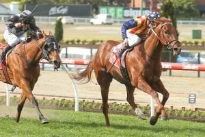 Oakleigh Plate - what does history say