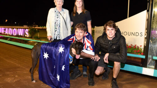 Orlando-Australian-Cup-heat-1024x683-1-5