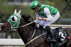 Mercurial Hong Kong galloper Pakistan Star joins team O’Sullivan