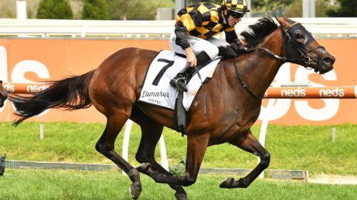 Probabeel-Gr.1-Futurity-QL4706-scaled-1-