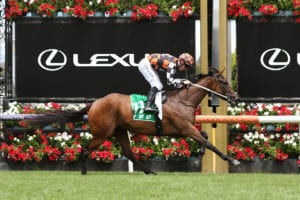 Australian Guineas runner-by-runner betting preview | Flemington