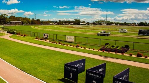 newcastle-500x280.jpg