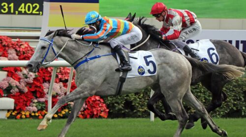 1_20211227-ST-R3-IMG_9128H-scaled-1-500x