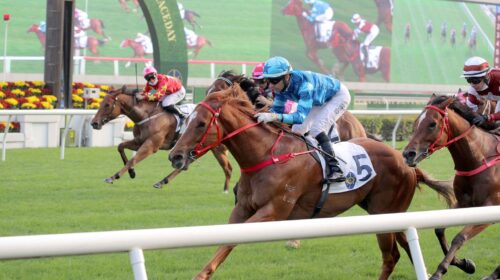 1_20220101-ST-R8-90I8207o-scaled-1-500x2