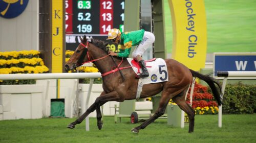 1_20220109-ST-R9-90I0680o-scaled-1-500x2