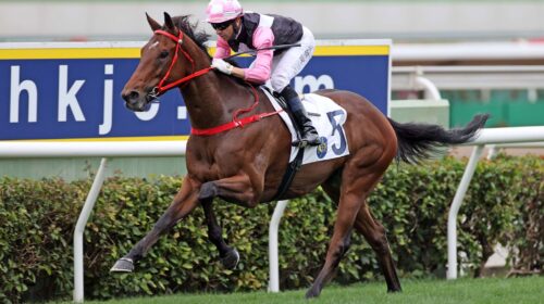 1_20220123-ST-R4-JCX38407o-scaled-1-500x