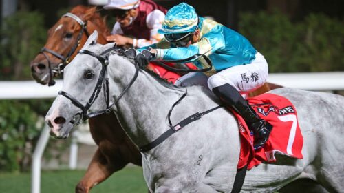 1_20220216-HV-R8-JCX36443o-scaled-1-500x