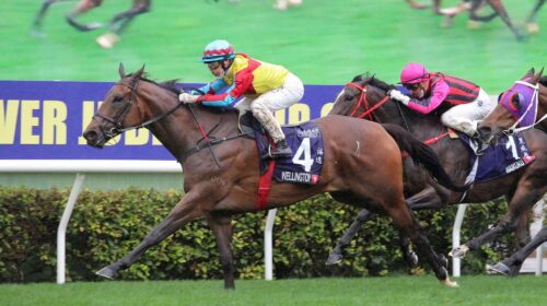 1_20220220-ST-R3-90I5781sk-scaled-1-500x