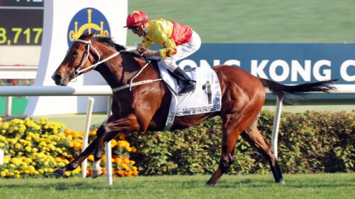 1_20220227-ST-R8-A90I1267sk-1-scaled-1-5