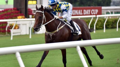 20201001-R7-4-Hose-finish-DCS_6380o-scal