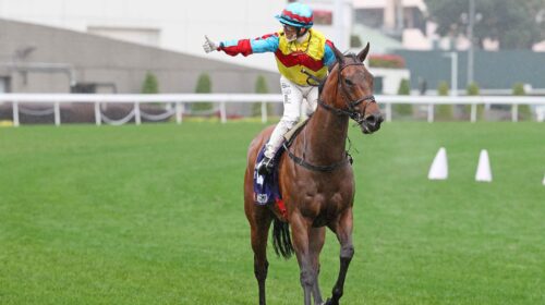 20220220-ST-R3-37653r-scaled-1-500x280.j