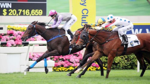 20220327-Pic127March-scaled-1-500x280.jp