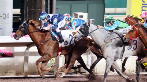 20220330-ST-R5-JCX38160oPic1-scaled-1-50