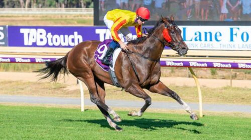 277075004_656244208969437_27563628428257