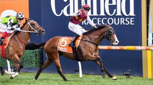 89573949a4cf401b98d2dbda5bc7d247-500x280