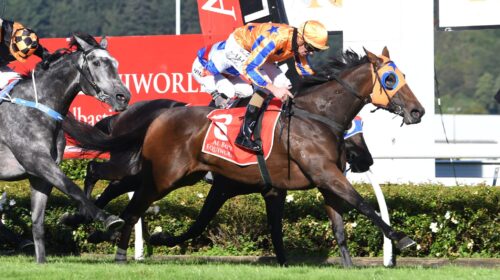 BELLE-EN-ROUGE-WRC-19-3-2022-RACE-IMAGES